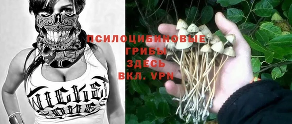 соль курить ск Арсеньев