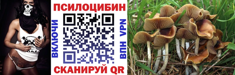 Псилоцибиновые грибы прущие грибы  Купить  Жердевка 